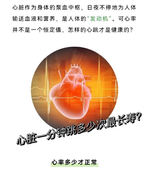 心脏复苏每分钟最少多少次，是最少？为什么「心脏停止跳动12小时」 卫浴招商