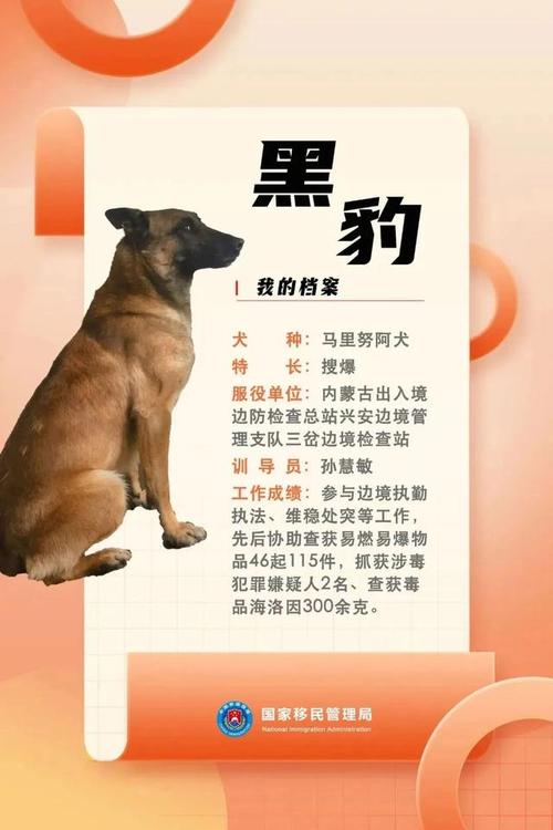 福仔柯基警犬什么时候巡逻「警犬仔仔」 TOTO卫浴